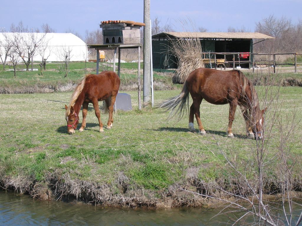 Agriturismo La Barena Villa Jesolo Buitenkant foto